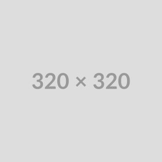 320x320
