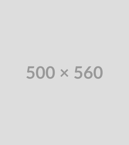 500x560
